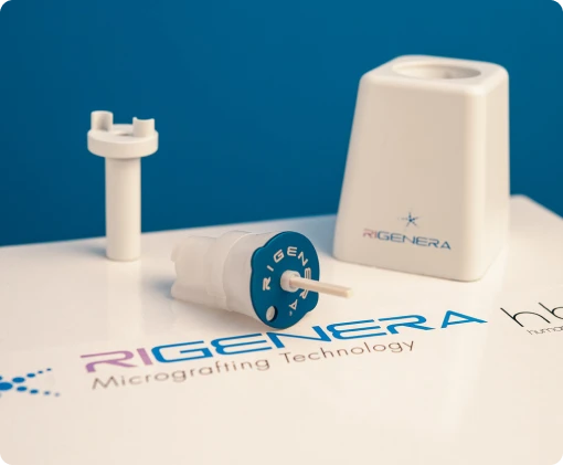 AssetRigenera03